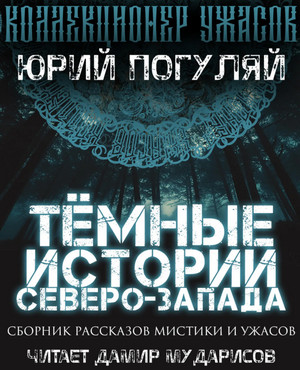 Тёмные истории Северо-Запада / Юрий Погуляй