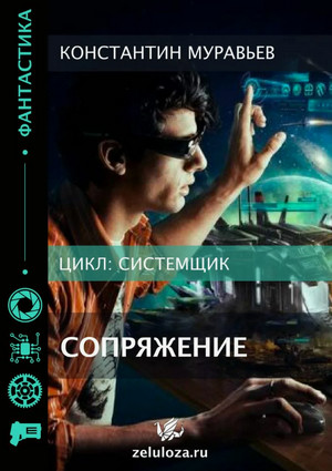 Системщик. Сопряжение / Дмитрий Шелег (1)