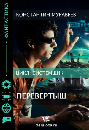Системщик. Перевертыш / Дмитрий Шелег (2)